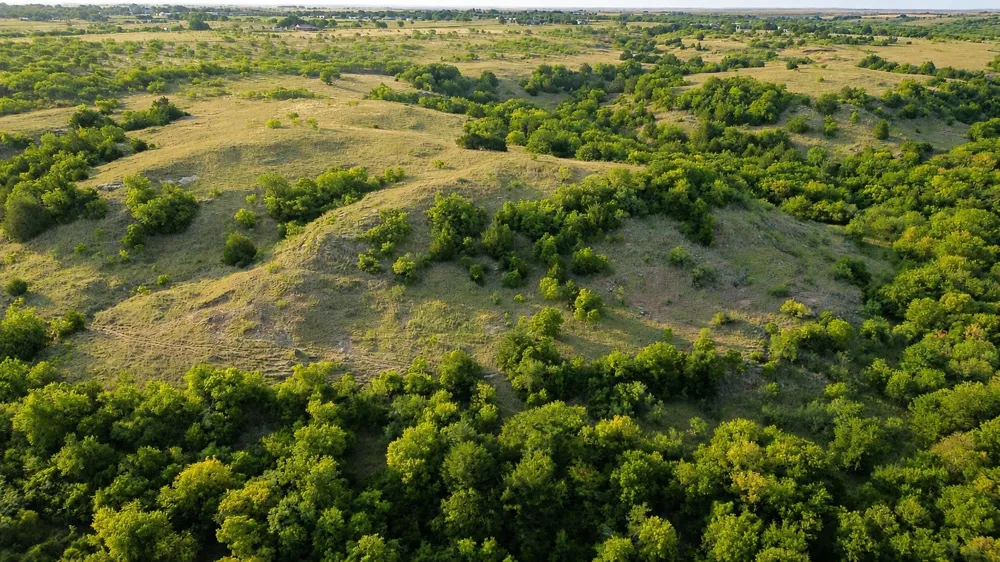 Adair Road Byers, TX 76357