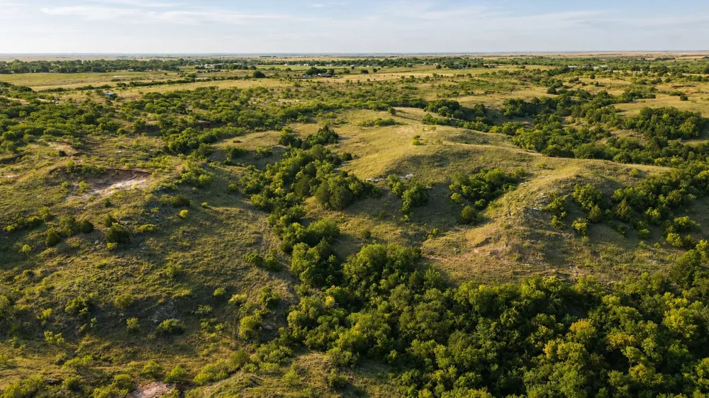 Adair Road Byers, TX 76357