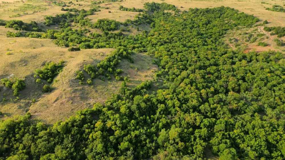 Adair Road Byers, TX 76357