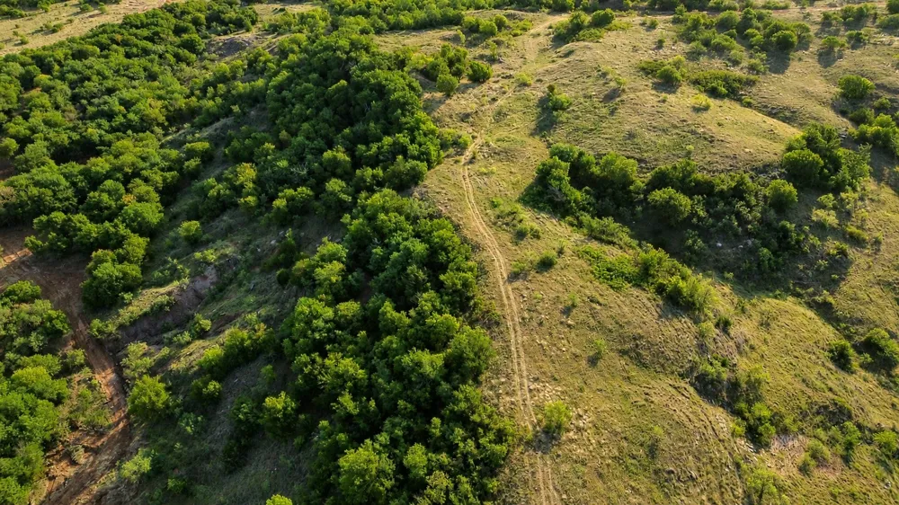 Adair Road Byers, TX 76357