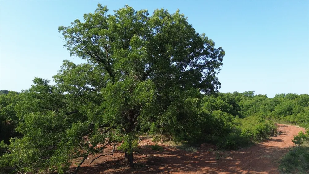 Adair Road Byers, TX 76357