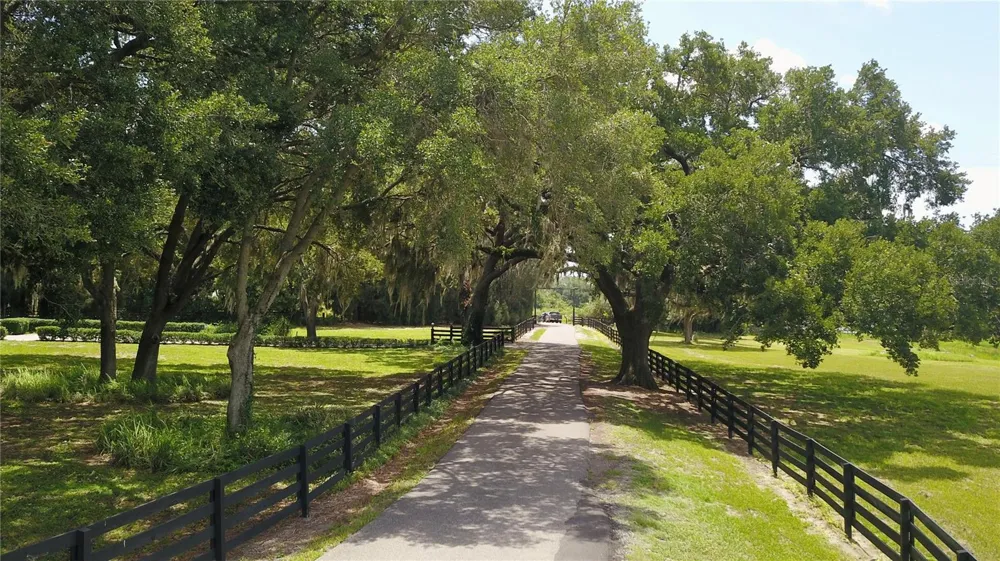 16945 W PHIL C PETERS ROAD Winter Garden, FL 34787