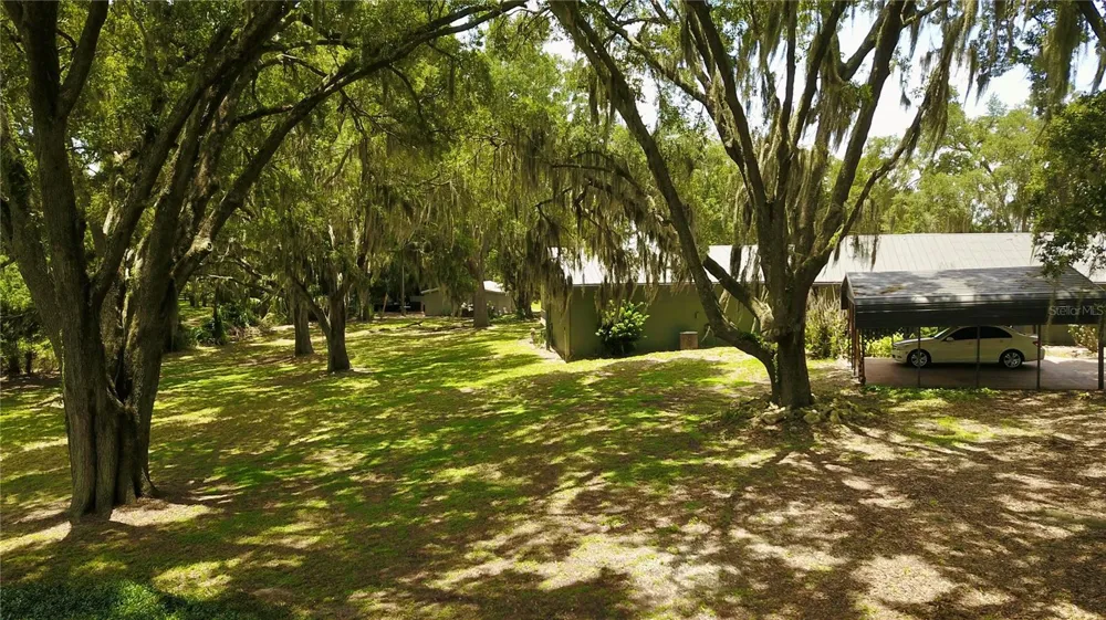 16945 W PHIL C PETERS ROAD Winter Garden, FL 34787