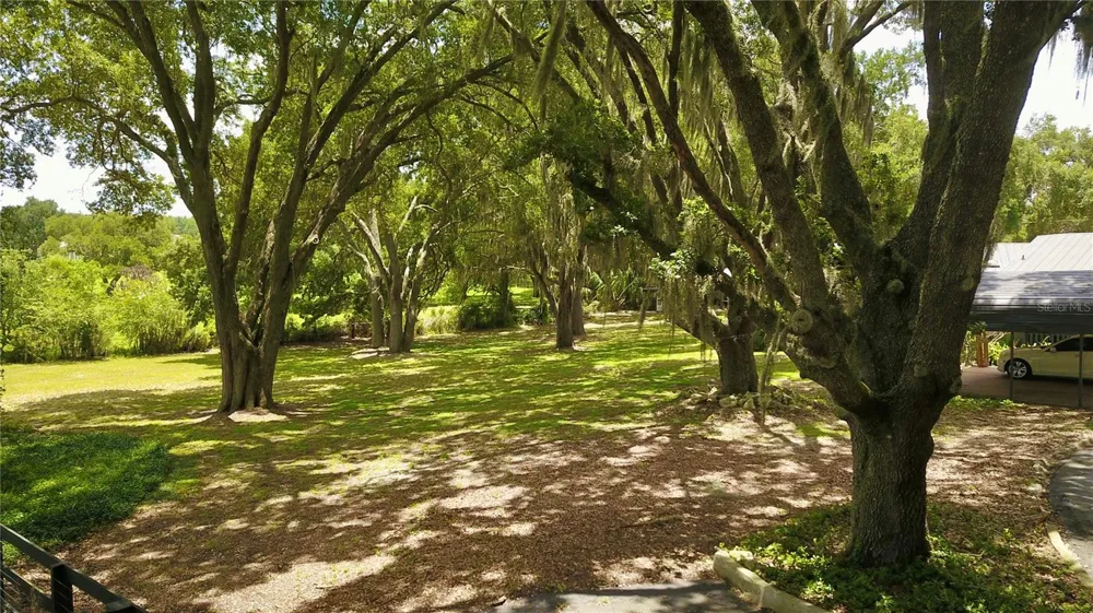16945 W PHIL C PETERS ROAD Winter Garden, FL 34787