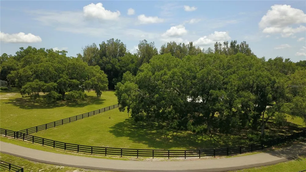 16945 W PHIL C PETERS ROAD Winter Garden, FL 34787