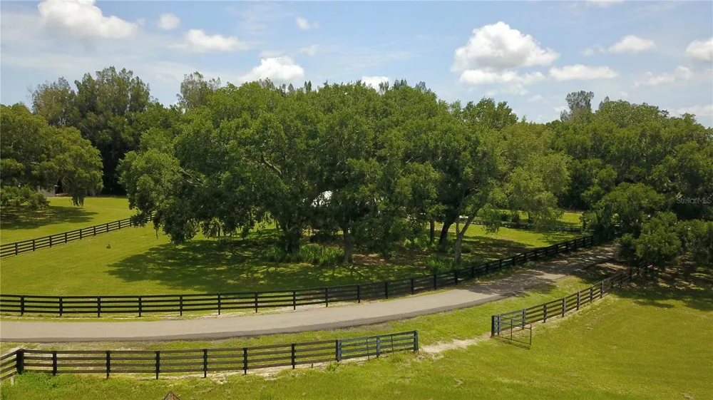 16945 W PHIL C PETERS ROAD Winter Garden, FL 34787