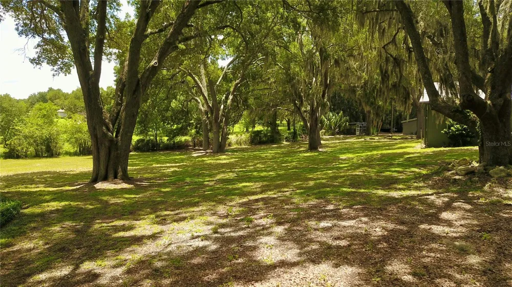 16945 W PHIL C PETERS ROAD Winter Garden, FL 34787