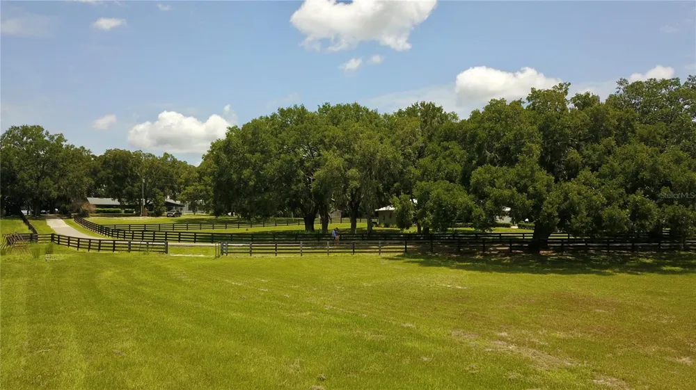 16945 W PHIL C PETERS ROAD Winter Garden, FL 34787