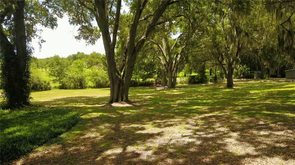 16945 W PHIL C PETERS ROAD Winter Garden, FL 34787
