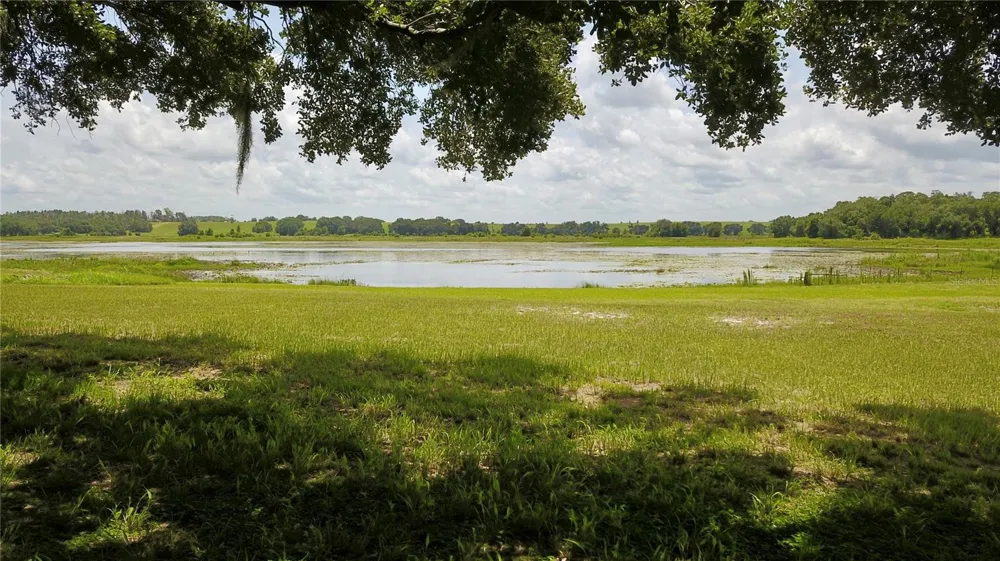 16945 W PHIL C PETERS ROAD Winter Garden, FL 34787