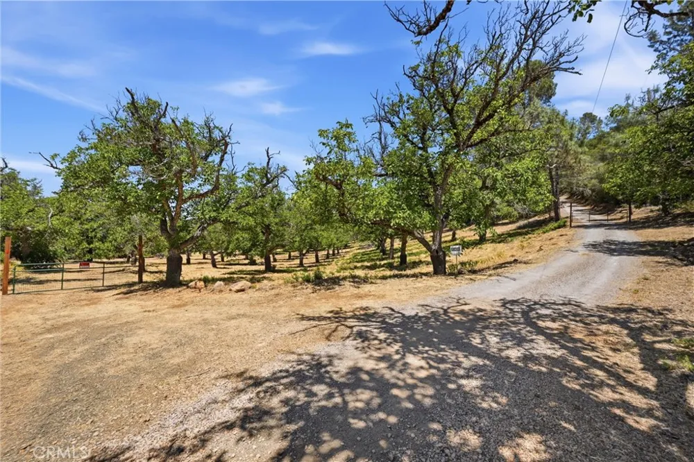 13420 Point Lakeview Road Lower Lake, CA 95457