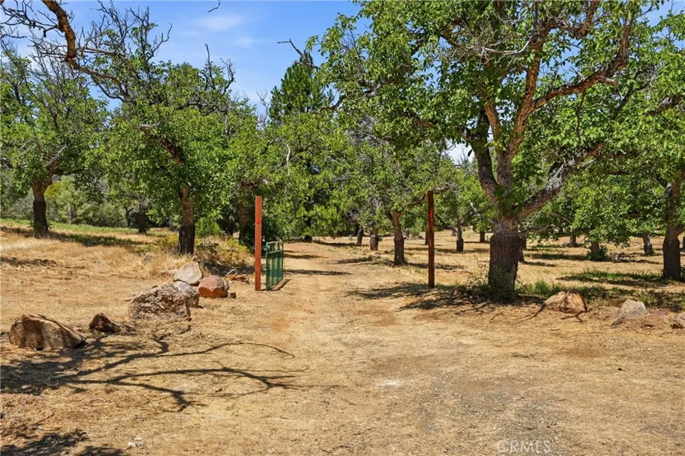 13420 Point Lakeview Road Lower Lake, CA 95457