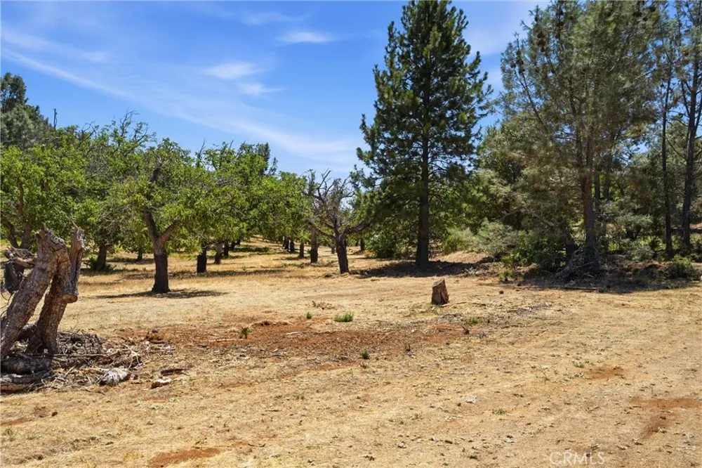 13420 Point Lakeview Road Lower Lake, CA 95457