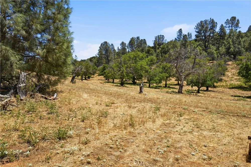 13420 Point Lakeview Road Lower Lake, CA 95457