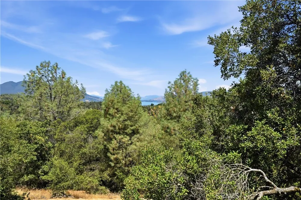13420 Point Lakeview Road Lower Lake, CA 95457