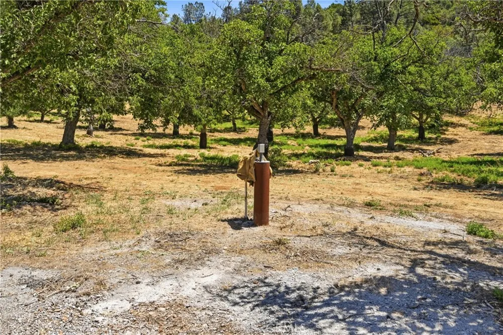 13420 Point Lakeview Road Lower Lake, CA 95457