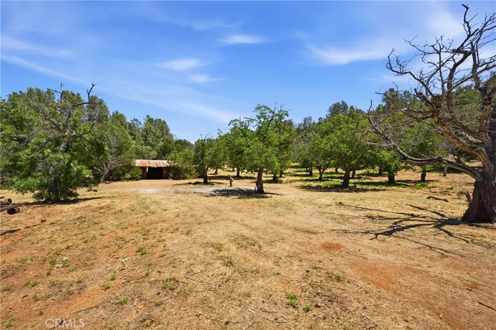 13420 Point Lakeview Road Lower Lake, CA 95457