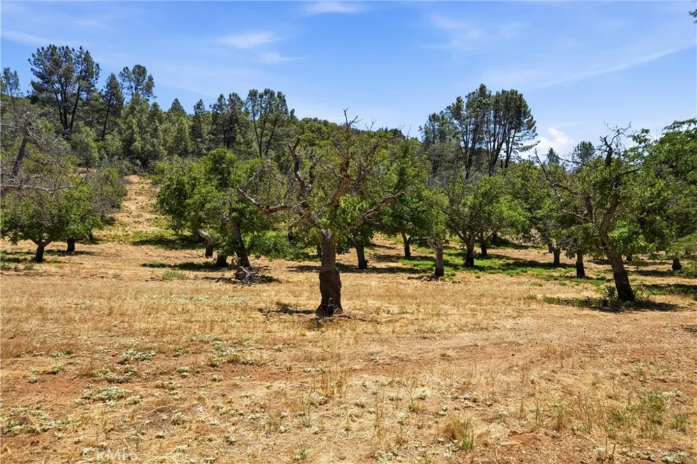 13420 Point Lakeview Road Lower Lake, CA 95457