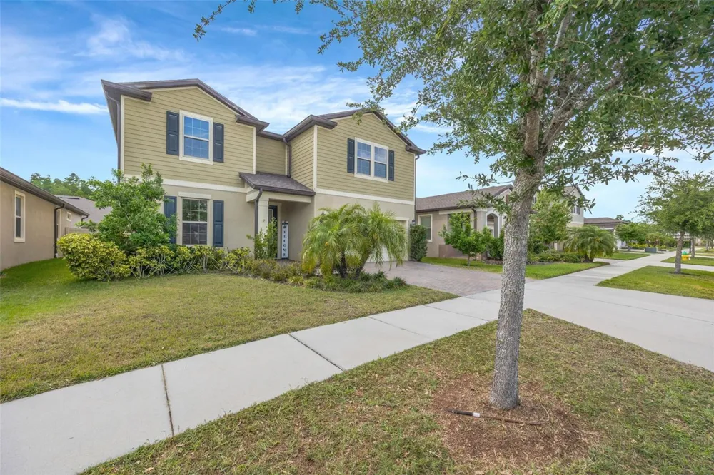 18928 WILLOWMORE CEDAR DRIVE Lutz, FL 33558