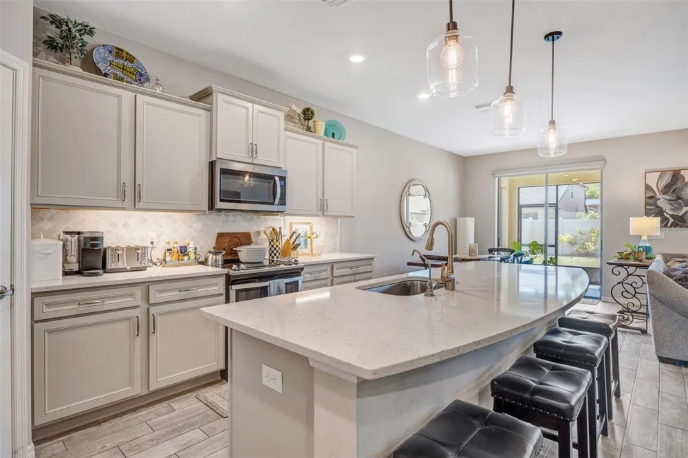 18928 WILLOWMORE CEDAR DRIVE Lutz, FL 33558