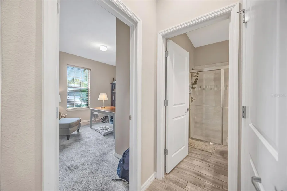 18928 WILLOWMORE CEDAR DRIVE Lutz, FL 33558