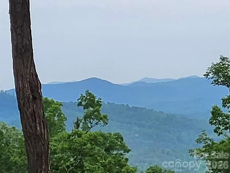 Lot 45 Ridgecrest Drive Lake Lure, NC 28746