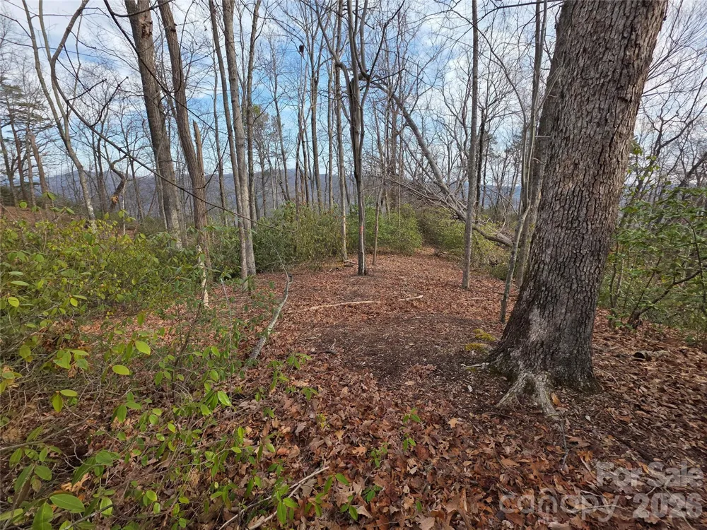 Lot 45 Ridgecrest Drive Lake Lure, NC 28746