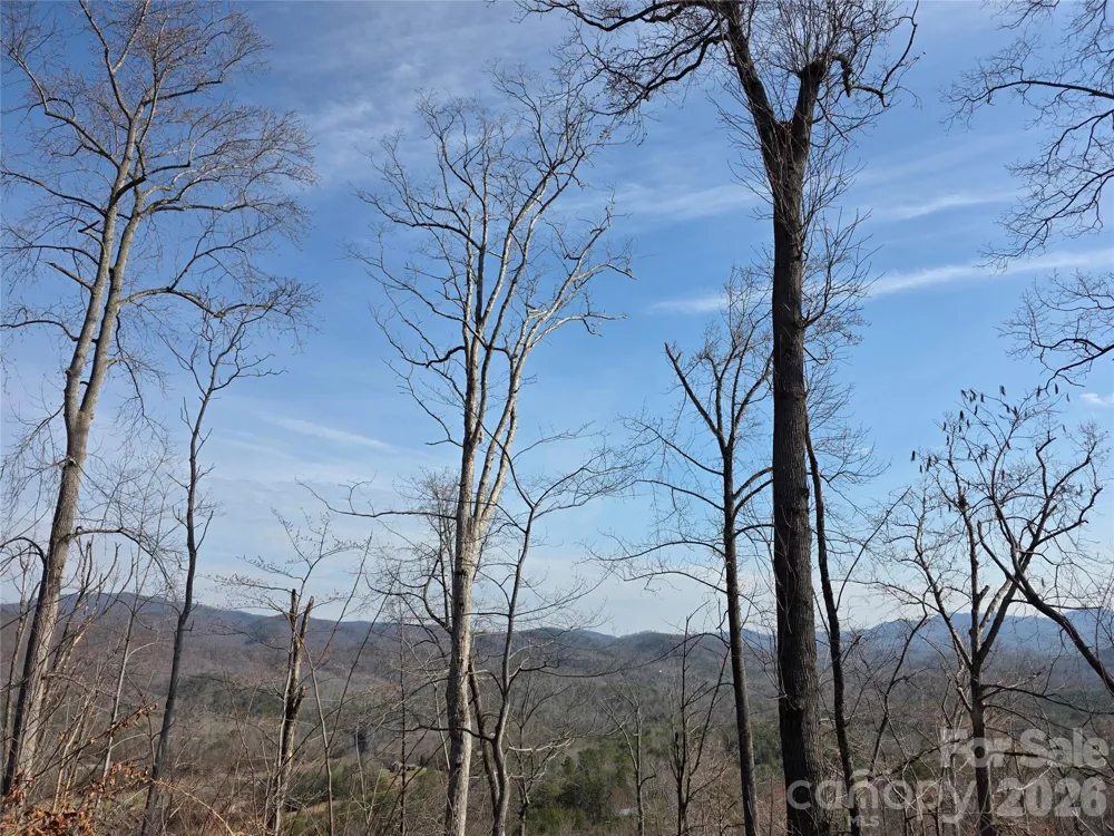 Lot 45 Ridgecrest Drive Lake Lure, NC 28746