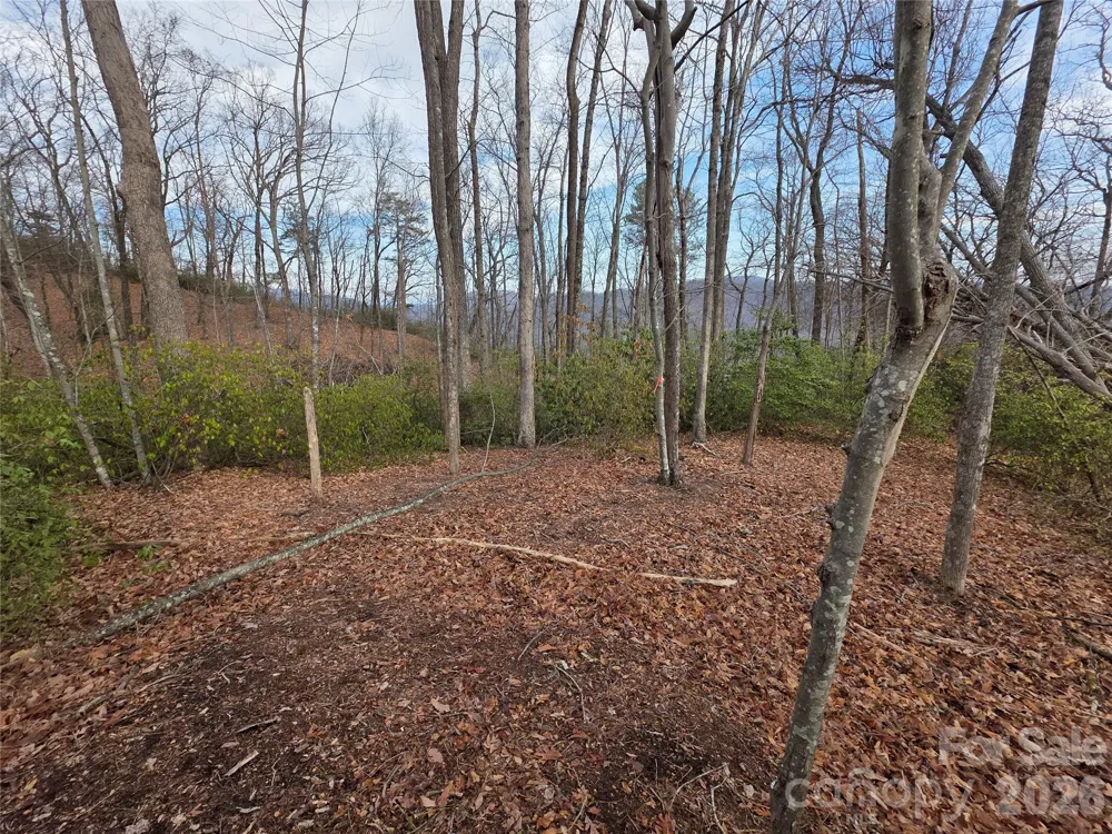 Lot 45 Ridgecrest Drive Lake Lure, NC 28746