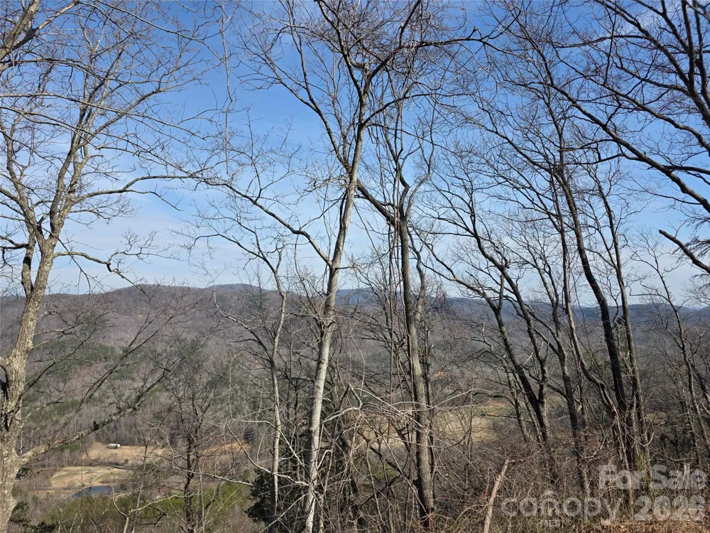Lot 45 Ridgecrest Drive Lake Lure, NC 28746