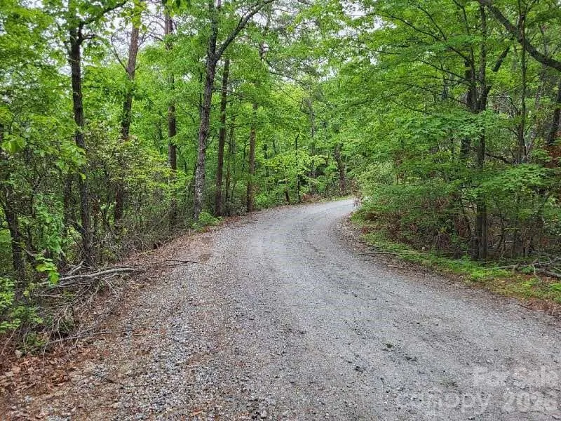 Lot 45 Ridgecrest Drive Lake Lure, NC 28746
