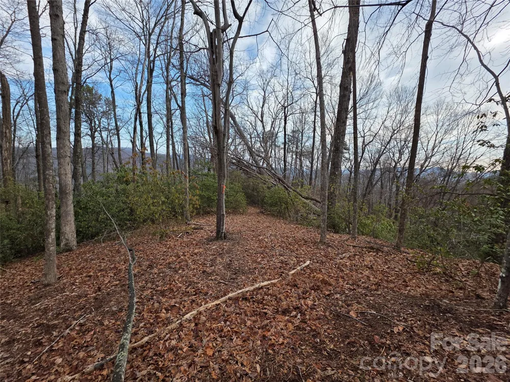 Lot 45 Ridgecrest Drive Lake Lure, NC 28746