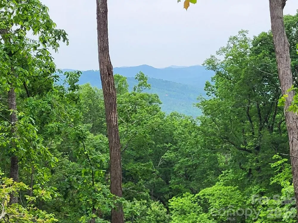 Lot 45 Ridgecrest Drive Lake Lure, NC 28746