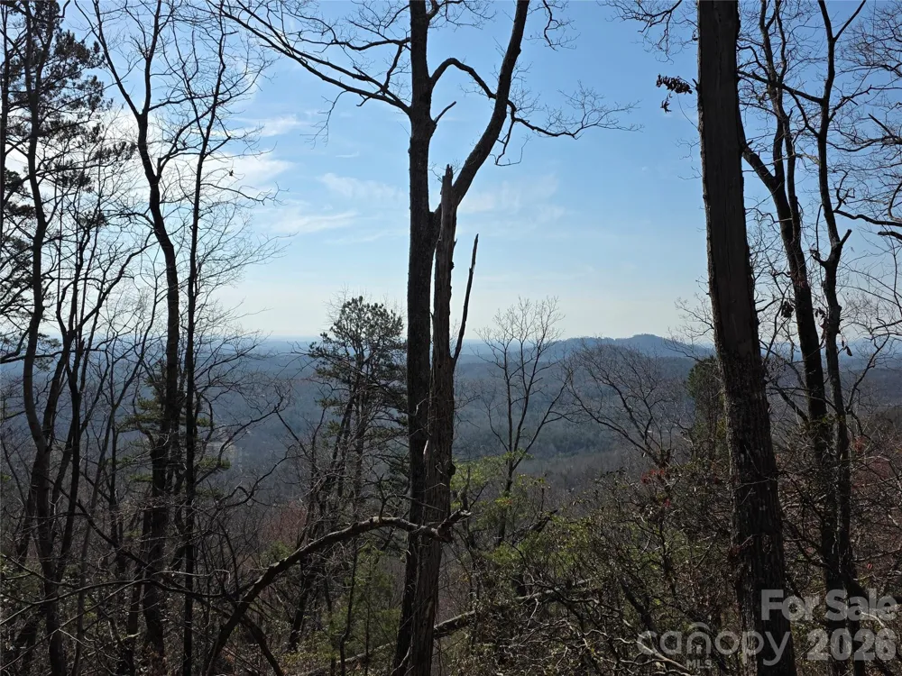 Lot 45 Ridgecrest Drive Lake Lure, NC 28746