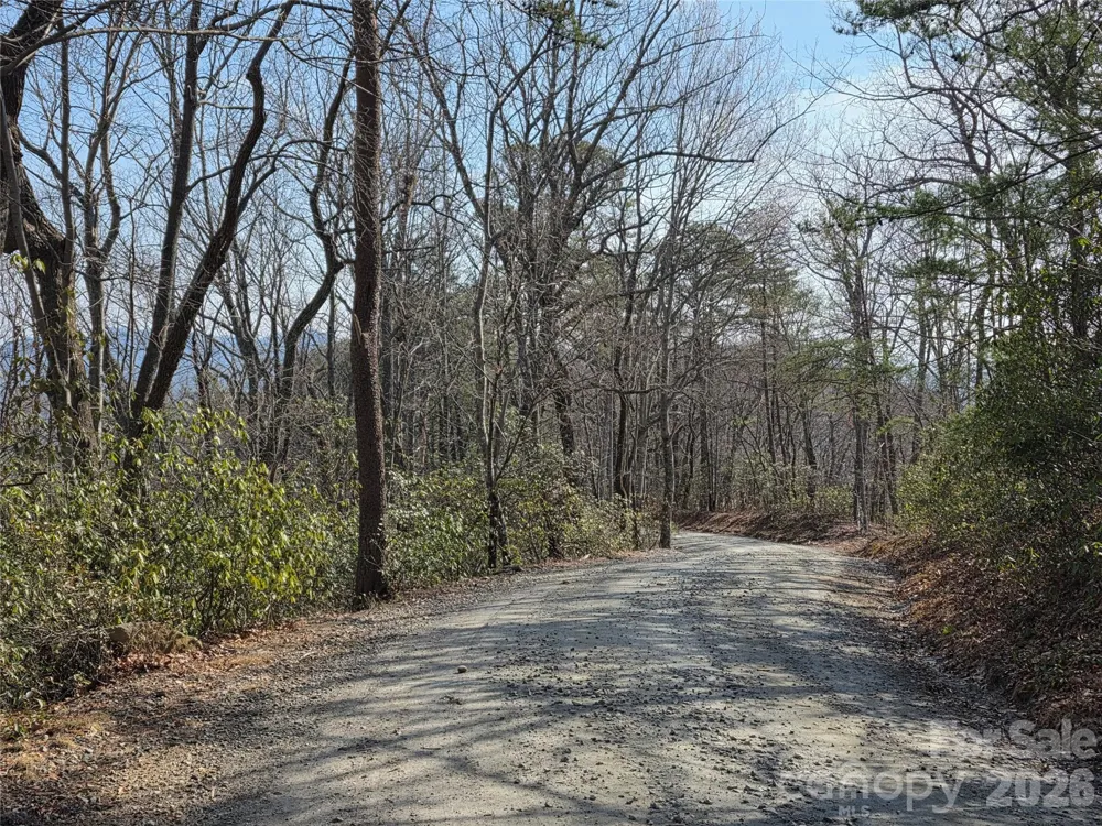 Lot 45 Ridgecrest Drive Lake Lure, NC 28746