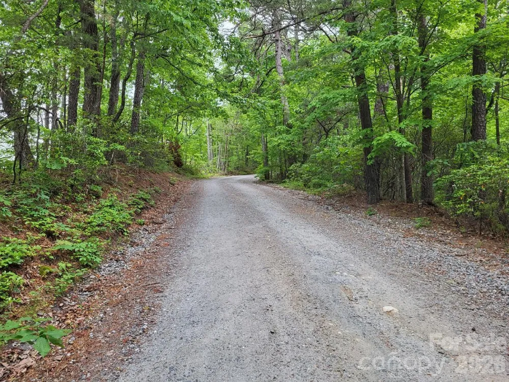 Lot 45 Ridgecrest Drive Lake Lure, NC 28746