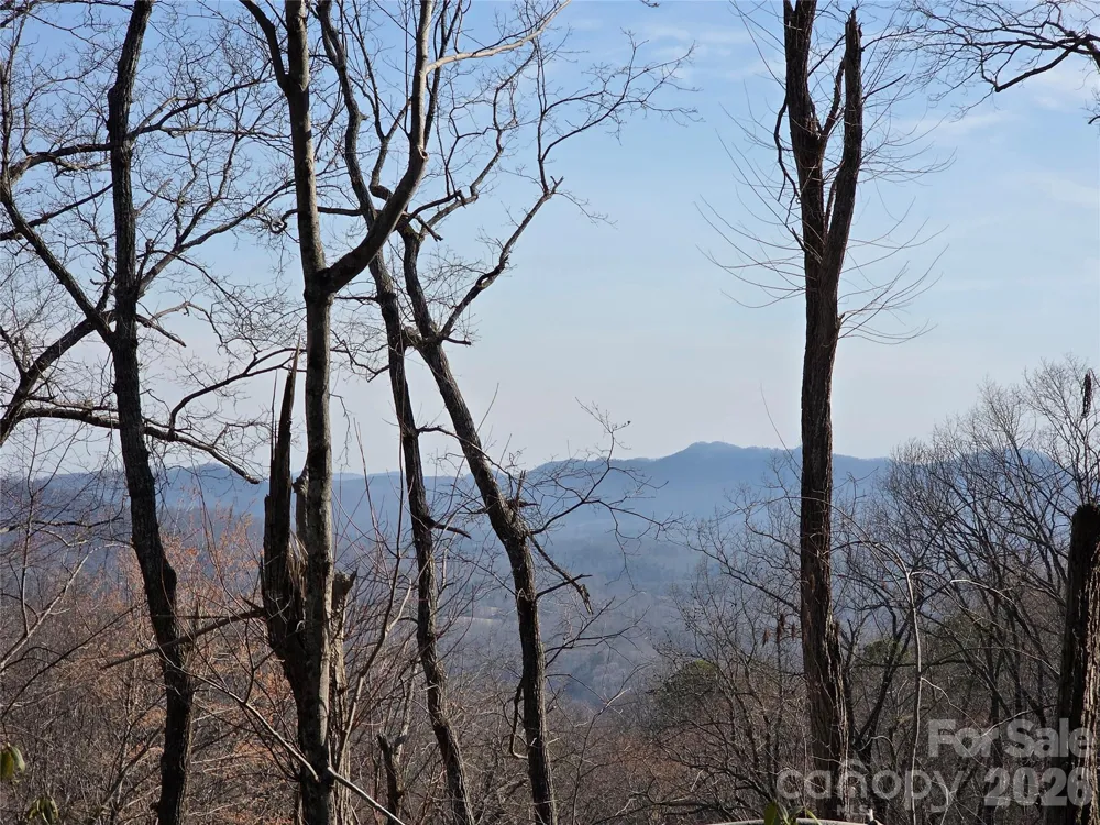 Lot 45 Ridgecrest Drive Lake Lure, NC 28746