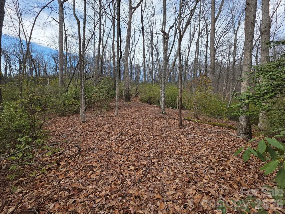 Lot 45 Ridgecrest Drive Lake Lure, NC 28746