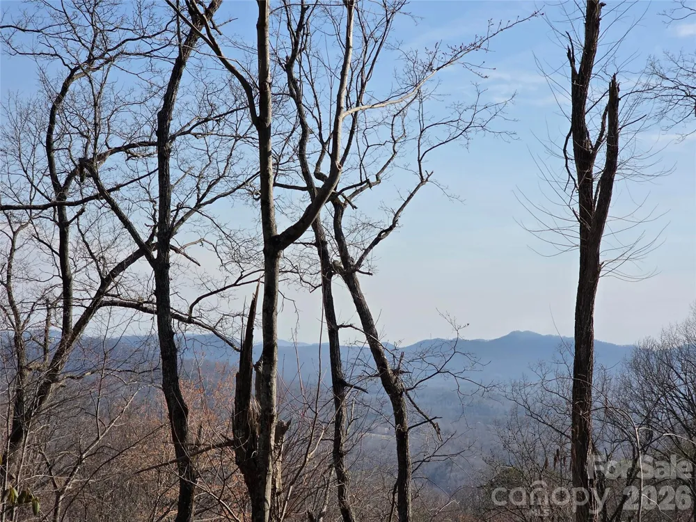 Lot 45 Ridgecrest Drive Lake Lure, NC 28746