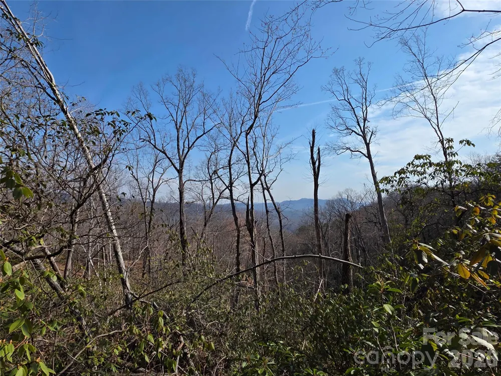 Lot 45 Ridgecrest Drive Lake Lure, NC 28746