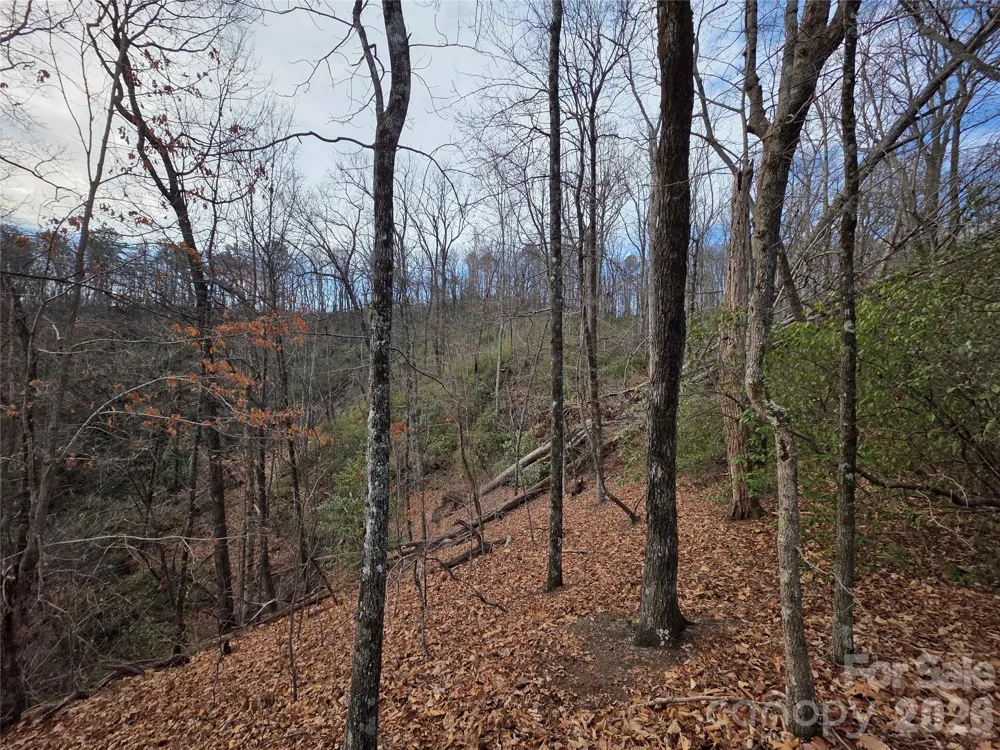 Lot 45 Ridgecrest Drive Lake Lure, NC 28746