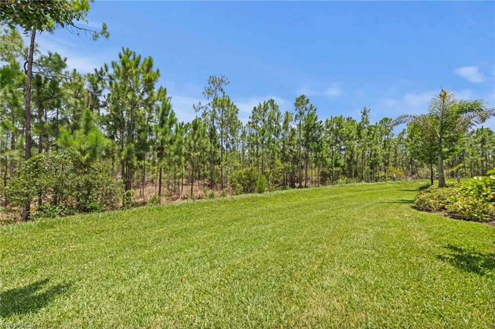 20615 Plumwood Loop North Fort Myers, FL 33917