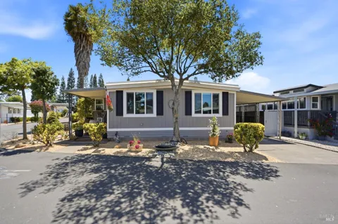 703 Sequoia Street