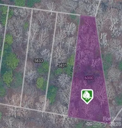 5841 Pamela Street Huntersville, NC 28078