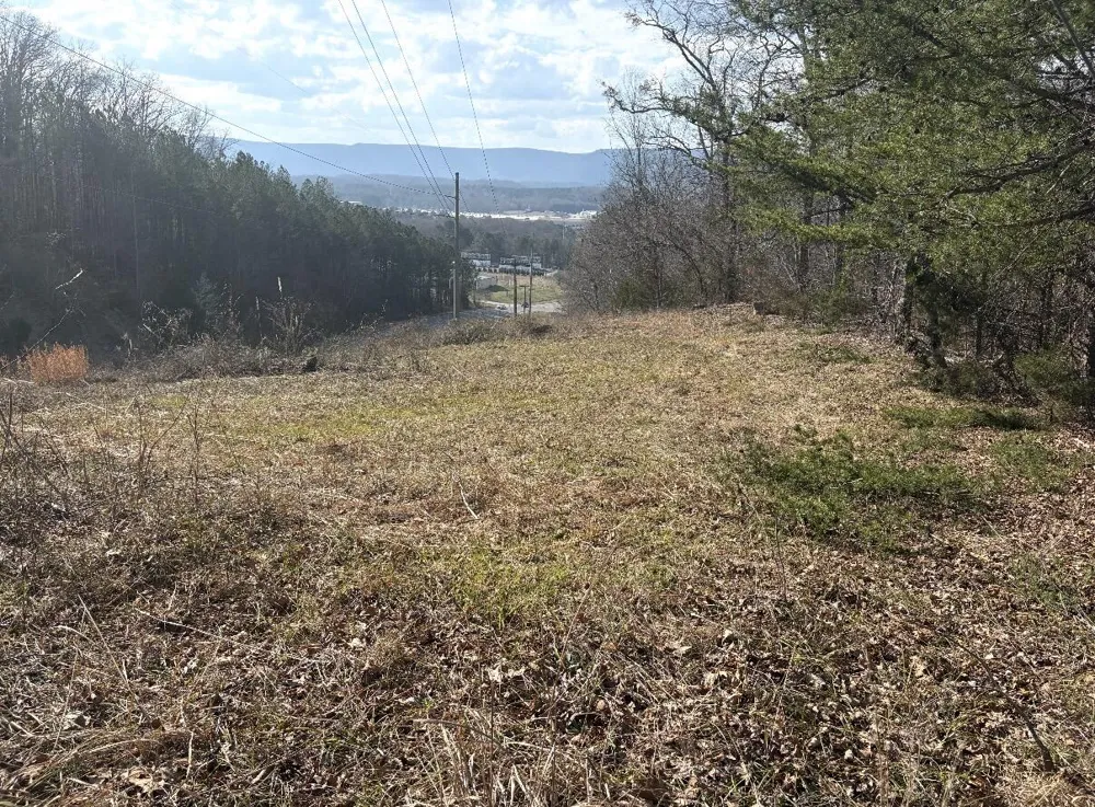 Shattuck Industrial Boulevard LaFayette, GA 30728