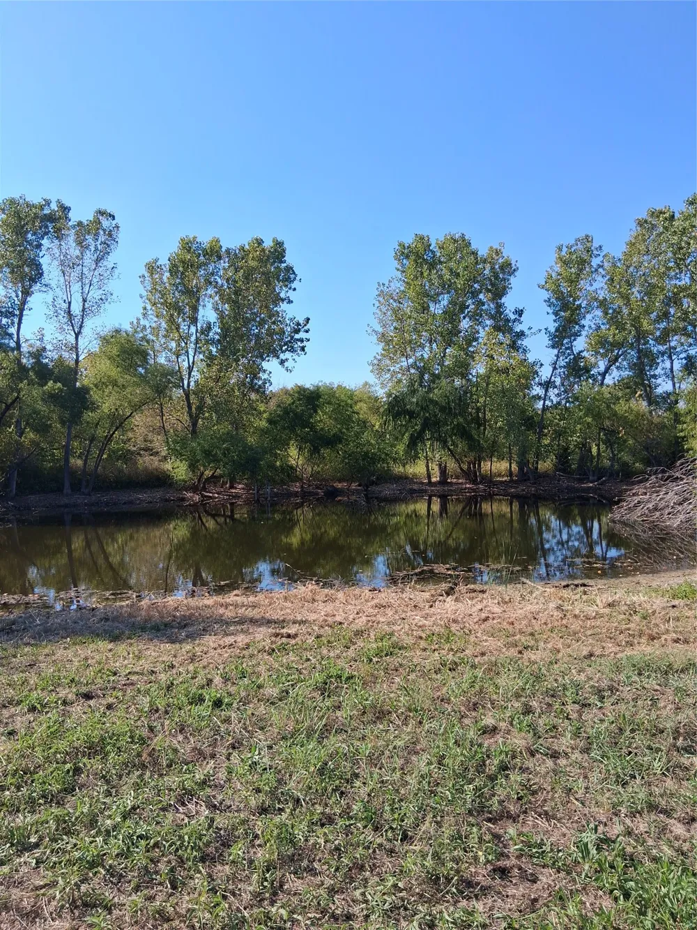 Hagerman Pottsboro, TX 75076