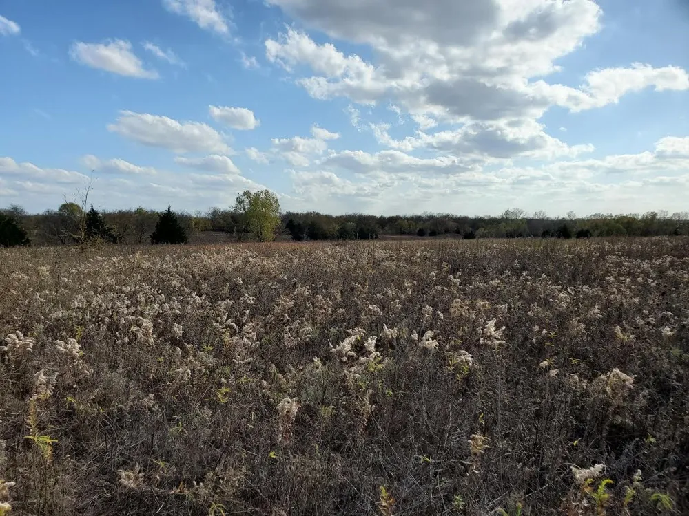 Hagerman Pottsboro, TX 75076