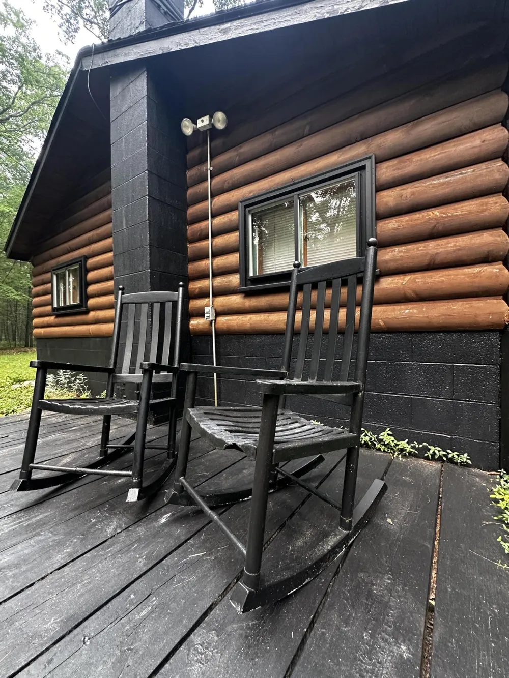 8047 W Peterson Road Irons, MI 49644
