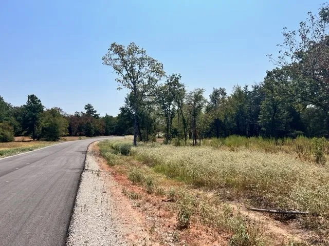 Fm 489 E Fairfield, TX 75840