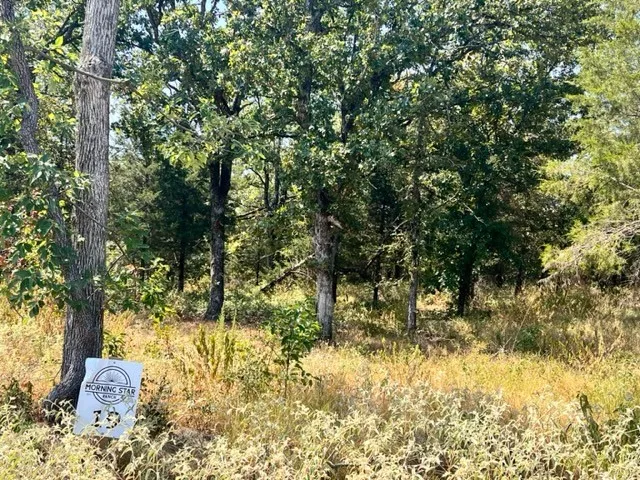 Fm 489 E Fairfield, TX 75840